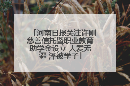 河南日报关注许刚慈善信托暨职业教育助学金设立 大爱无疆 泽被学子