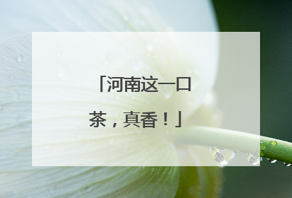 河南这一口茶，真香！