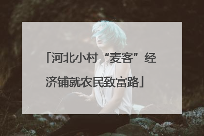 河北小村“麦客”经济铺就农民致富路