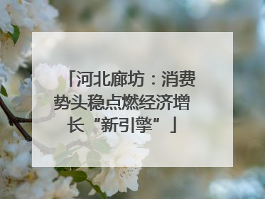 河北廊坊：消费势头稳点燃经济增长“新引擎”