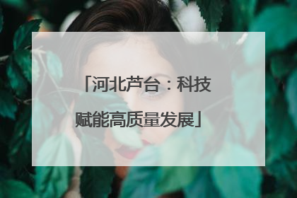 河北芦台：科技赋能高质量发展