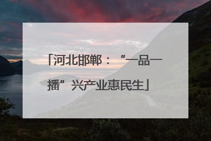 河北邯郸：“一品一播”兴产业惠民生