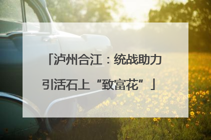 泸州合江：统战助力引活石上“致富花”