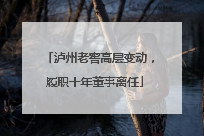 泸州老窖高层变动，履职十年董事离任
