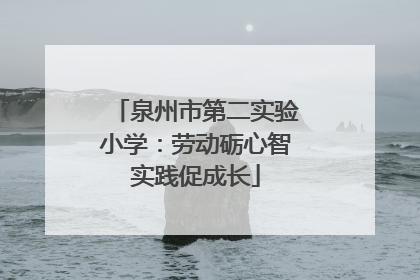泉州市第二实验小学：劳动砺心智实践促成长