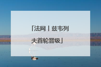 法网丨兹韦列夫首轮晋级