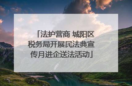 法护营商 城阳区税务局开展民法典宣传月进企送法活动