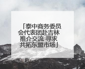 泰中商务委员会代表团赴吉林推介交流 寻求共拓东盟市场