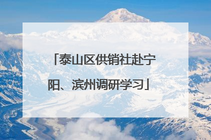 泰山区供销社赴宁阳、滨州调研学习