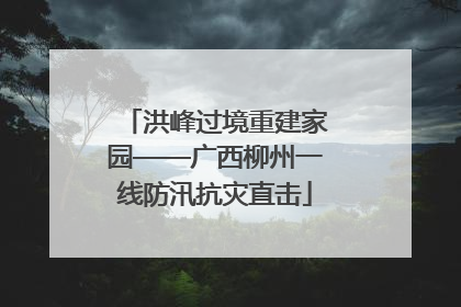 洪峰过境重建家园——广西柳州一线防汛抗灾直击