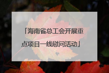 海南省总工会开展重点项目一线慰问活动