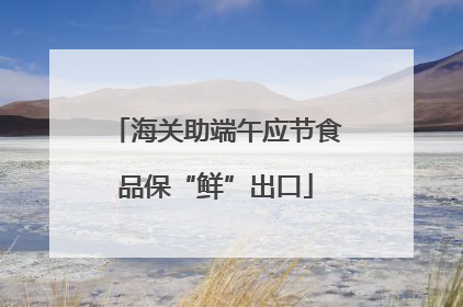 海关助端午应节食品保“鲜”出口