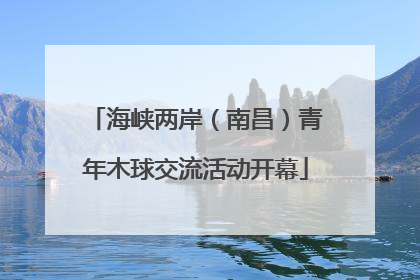 海峡两岸（南昌）青年木球交流活动开幕
