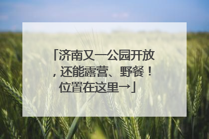 济南又一公园开放，还能露营、野餐！位置在这里→