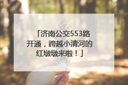 济南公交553路开通，跨越小清河的红墩墩来啦！