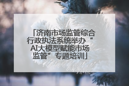 济南市场监管综合行政执法系统举办“AI大模型赋能市场监管”专题培训