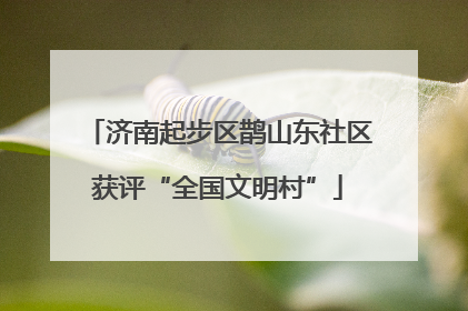 济南起步区鹊山东社区获评“全国文明村”