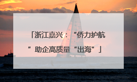 浙江嘉兴：“侨力护航”助企高质量“出海”