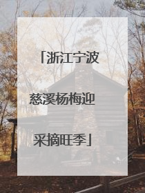 浙江宁波慈溪杨梅迎采摘旺季