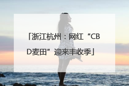 浙江杭州：网红“CBD麦田”迎来丰收季