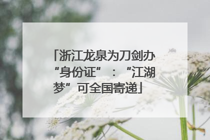 浙江龙泉为刀剑办“身份证”：“江湖梦”可全国寄递