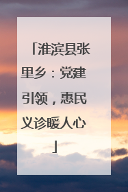 淮滨县张里乡：党建引领，惠民义诊暖人心