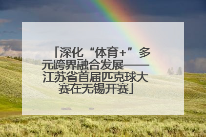 深化“体育+”多元跨界融合发展——江苏省首届匹克球大赛在无锡开赛