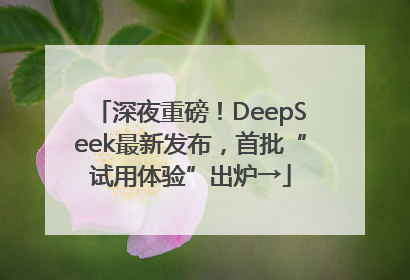 深夜重磅！DeepSeek最新发布，首批“试用体验”出炉→