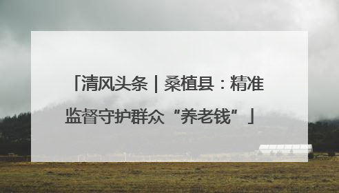 清风头条｜桑植县：精准监督守护群众“养老钱”