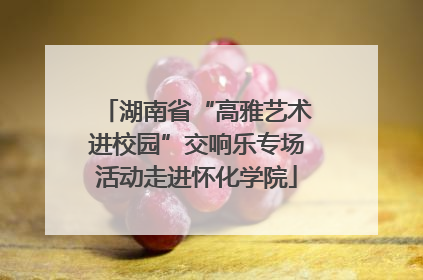 湖南省“高雅艺术进校园”交响乐专场活动走进怀化学院