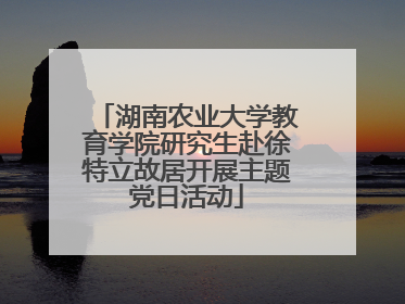湖南农业大学教育学院研究生赴徐特立故居开展主题党日活动
