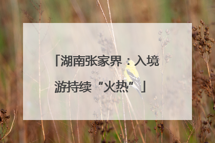 湖南张家界：入境游持续“火热”