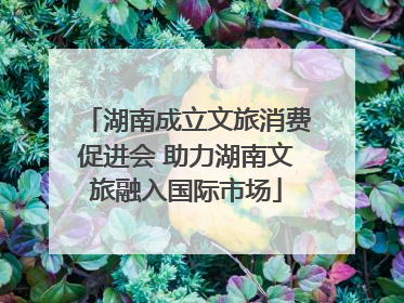 湖南成立文旅消费促进会 助力湖南文旅融入国际市场