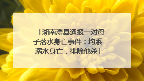 湖南澧县通报一对母子落水身亡事件：均系溺水身亡，排除他杀