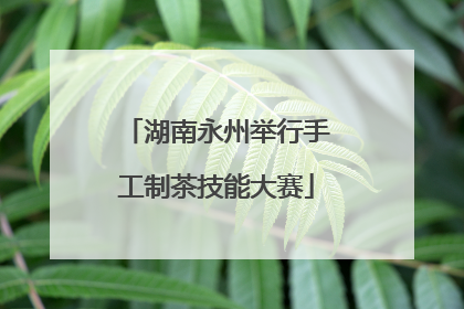 湖南永州举行手工制茶技能大赛