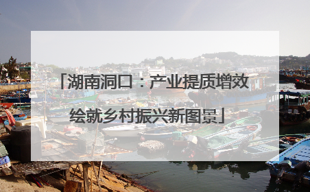湖南洞口：产业提质增效 绘就乡村振兴新图景