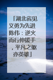 湖北省见义勇为先进陈伟：逆火而行伸援手，平凡之躯亦英雄