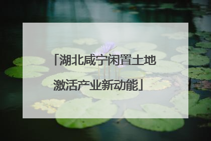 湖北咸宁闲置土地激活产业新动能