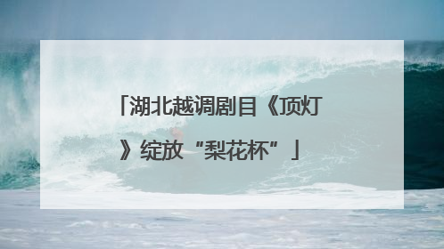 湖北越调剧目《顶灯》绽放“梨花杯”