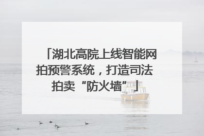 湖北高院上线智能网拍预警系统，打造司法拍卖“防火墙”