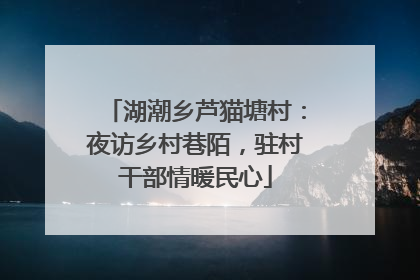 湖潮乡芦猫塘村：夜访乡村巷陌，驻村干部情暖民心