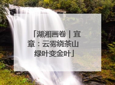 湖湘画卷｜宜章：云雾绕茶山 绿叶变金叶
