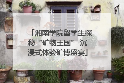 湘南学院留学生探秘“矿物王国” 沉浸式体验矿博盛宴