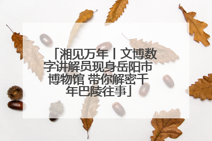 湘见万年丨文博数字讲解员现身岳阳市博物馆 带你解密千年巴陵往事