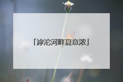 滹沱河畔夏意浓
