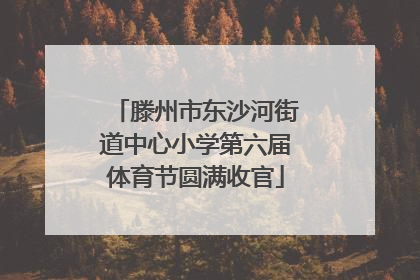 滕州市东沙河街道中心小学第六届体育节圆满收官