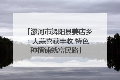 漯河市舞阳县姜店乡：大蒜喜获丰收 特色种植铺就富民路