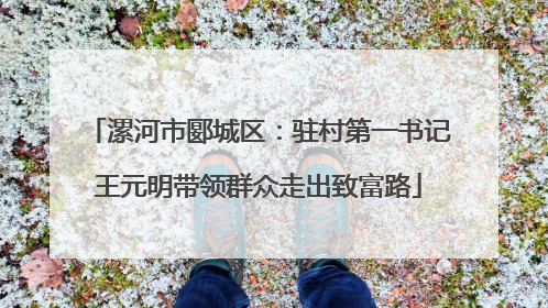 漯河市郾城区：驻村第一书记王元明带领群众走出致富路