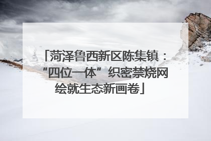 菏泽鲁西新区陈集镇：“四位一体”织密禁烧网 绘就生态新画卷