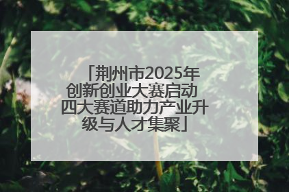荆州市2025年创新创业大赛启动 四大赛道助力产业升级与人才集聚